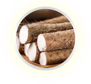 WilderGlow Wild Yam Cream For Hormonal Balance